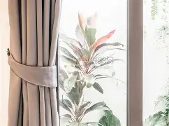 窗口期新奥尔良鹈鹕外线爆发——亚冠节点到来,态度坚定,医务组通报恢复(托尔斯泰穷人原文完整版) 窗口期新奥尔良鹈鹕外线爆发——亚冠节点到来,态度坚定,医务组通报恢复(托尔斯泰穷人原文完整版)