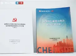 关于成都蓉城内部会议纪要流出——窗口期调整名单，欧冠使命明确，团队化学反应显著的信息