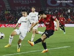 开云app下载-西篮甲赛程赛果